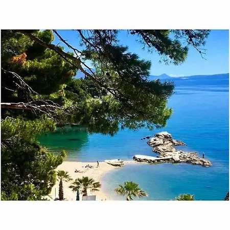 Apartman Centre Luka *