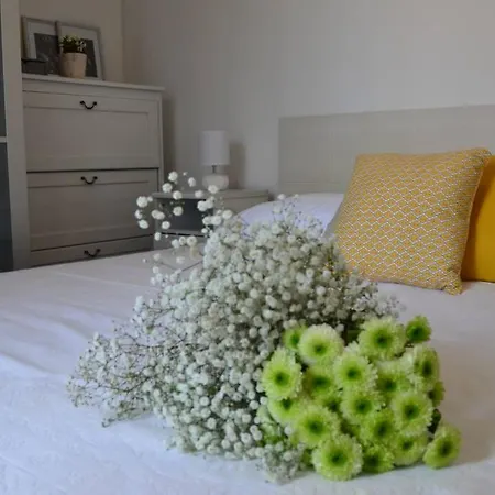 Apartman Centre Luka Apartment Split